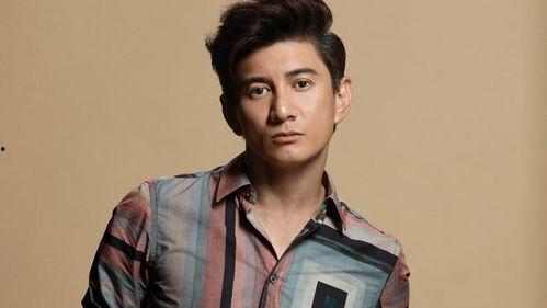 演员吴奇隆,从偶像到实力派,演艺生涯的华丽蜕变