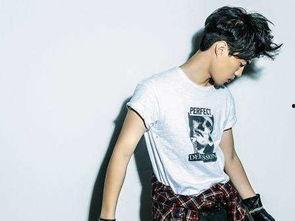 宫阁资料,音乐界的璀璨星辰，探索其创作背后的故事与灵感